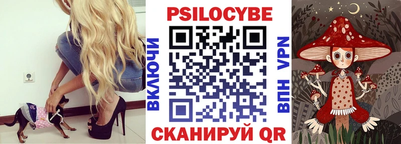 Псилоцибиновые грибы Psilocybe  Котельниково 